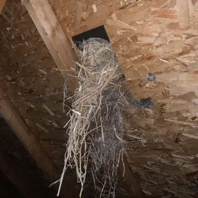 ceiling