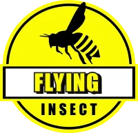 flying insect package icon